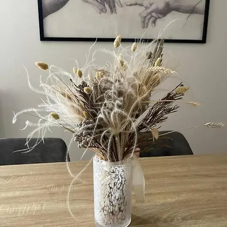 Apartment Le Nid Familial - Centre Gare