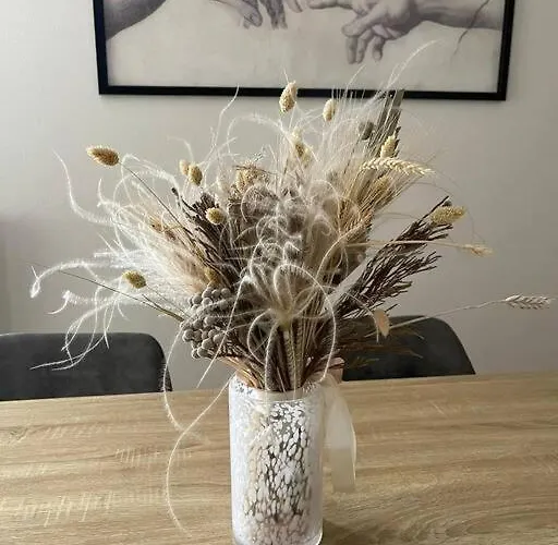 Apartament Le Nid Familial - Centre Gare